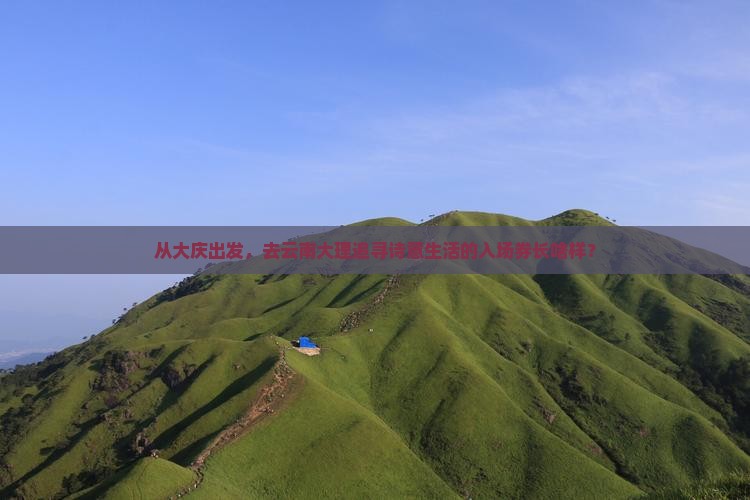 大庆去云南大理门票