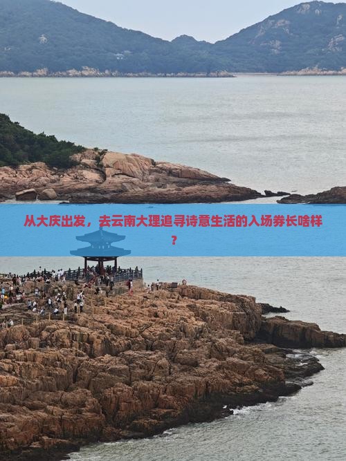大庆去云南大理门票