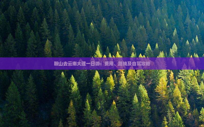 鞍山去云南大理一日