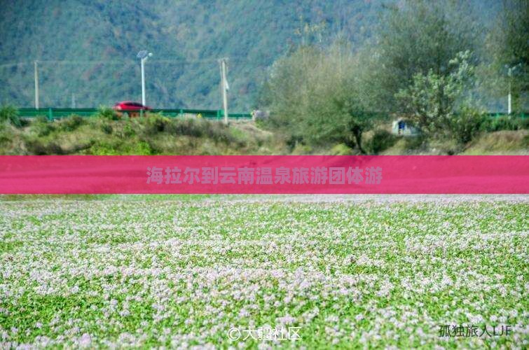 海拉尔到云南温泉团体旅游 海拉尔到云南温泉团体旅游