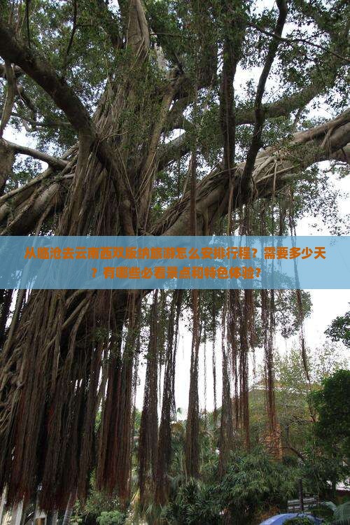 临沧去云南西双版纳旅游