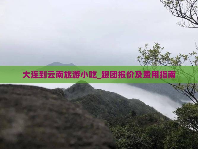 大连到云南旅游小吃