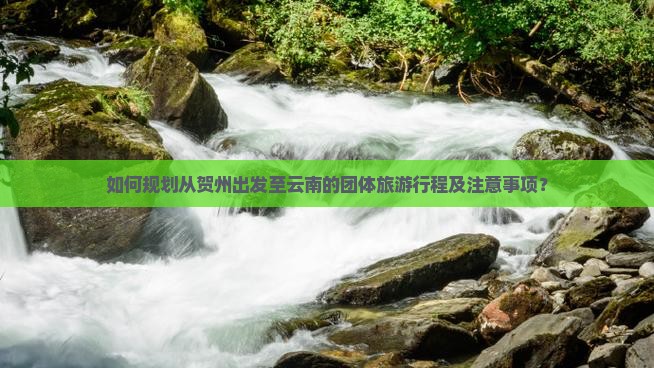 贺州到云南团体旅游