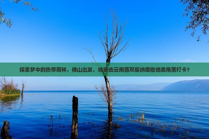 佛山到云南西双版纳必去地