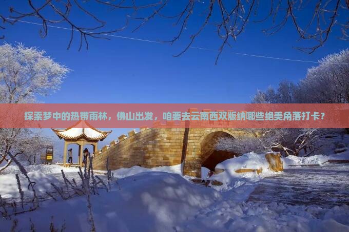佛山到云南西双版纳必去地