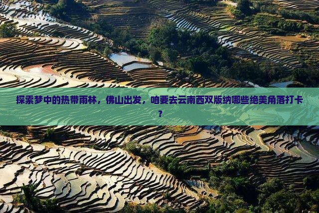 佛山到云南西双版纳必去地