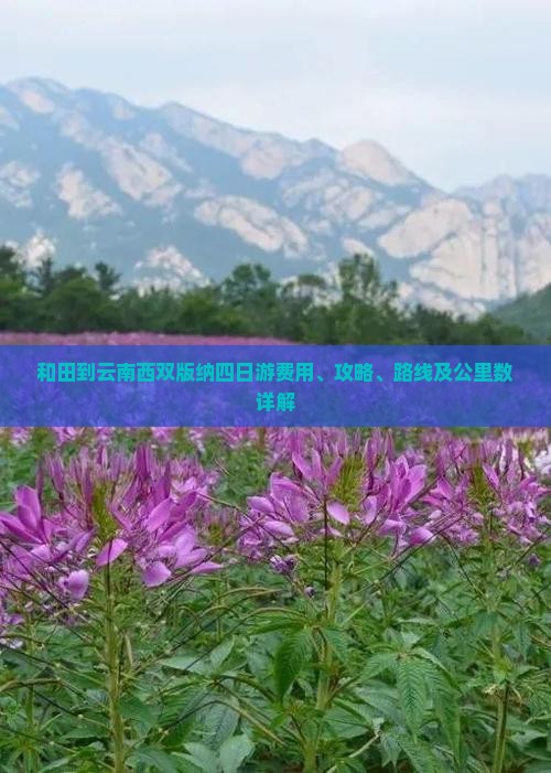 和田到云南西双版纳四日游