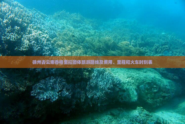 徐州去云南香格里拉团体旅游