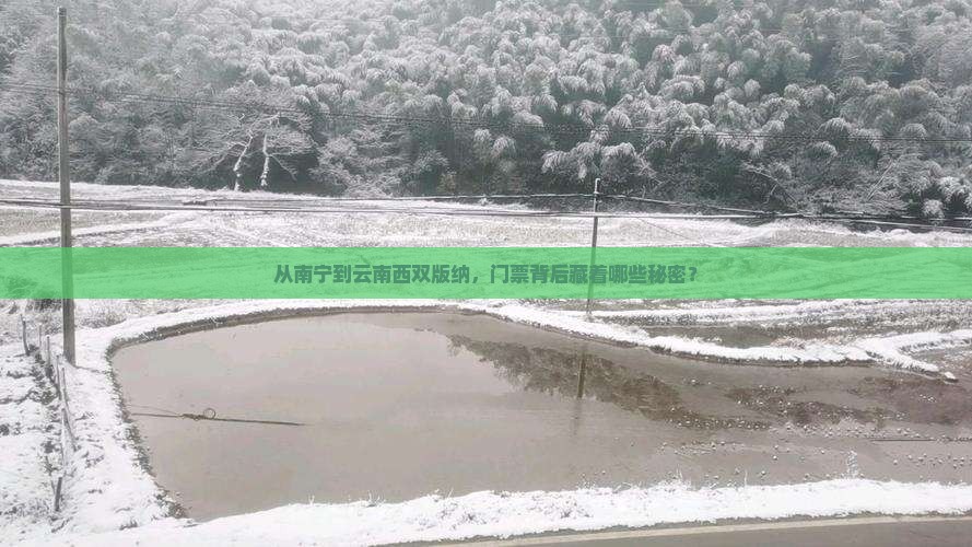 南宁去云南西双版纳门票