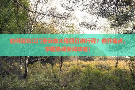 江门去云南大理四日游