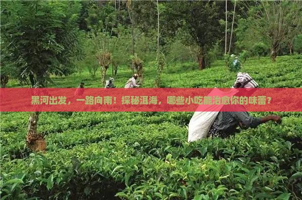 黑河到云南洱海旅游小吃