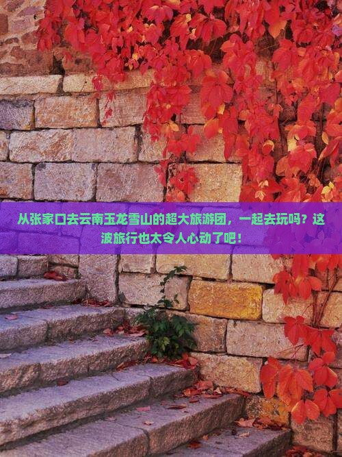张家口到云南玉龙雪山大型旅游团
