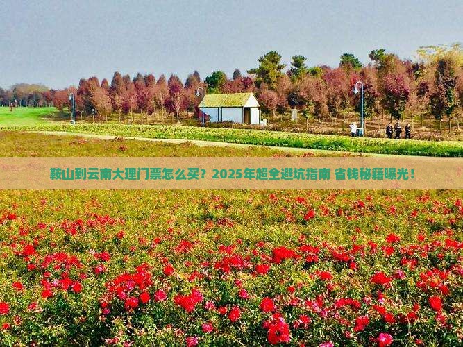 鞍山到云南大理门票
