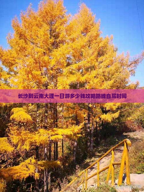 长沙到云南大理一日