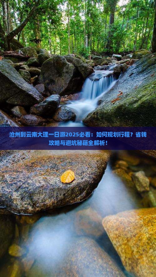 沧州到云南大理一日