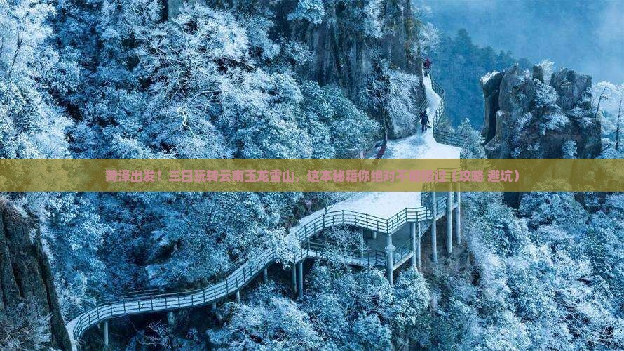 菏泽去云南玉龙雪山三日游