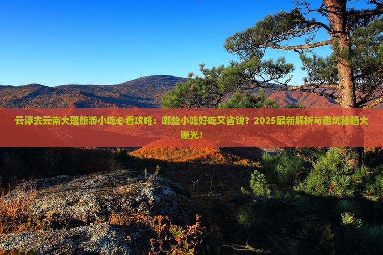 云浮去云南大理旅游小吃