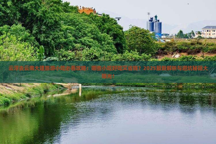 云浮去云南大理旅游小吃