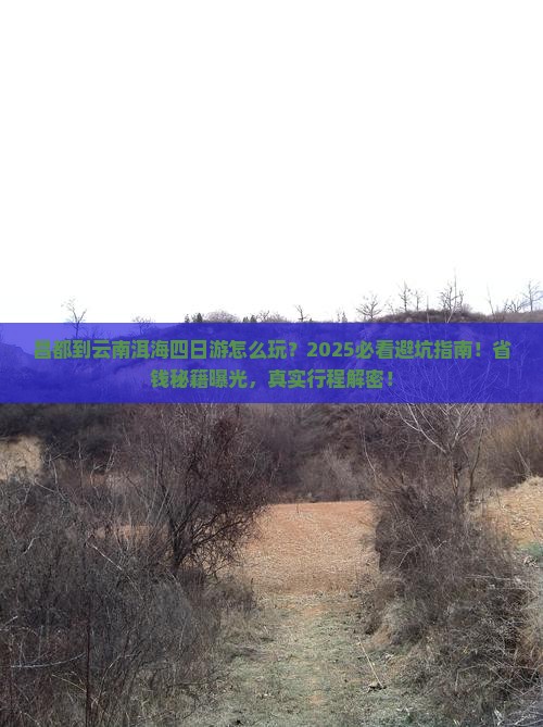 昌都到云南洱海四日游