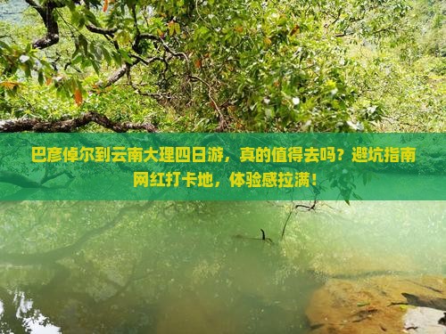 巴彦倬尔到云南大理四日游