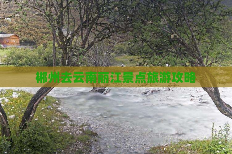 郴州去云南丽江景点