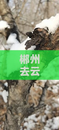 郴州去云南丽江景点