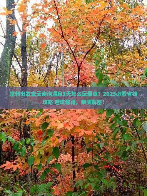 常州到云南温泉三日游