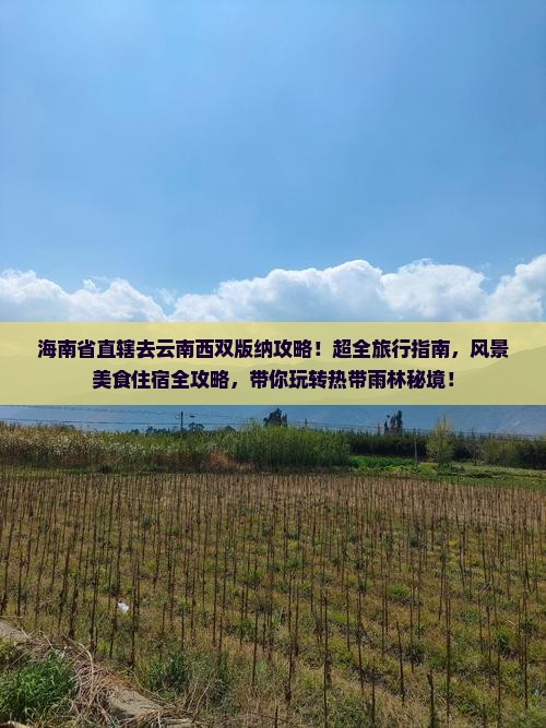 海南省直辖去云南西双版纳攻略