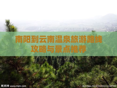 南阳到云南温泉旅行社