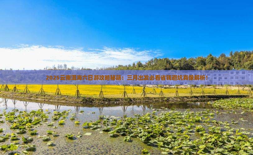 三月到云南洱海六日游