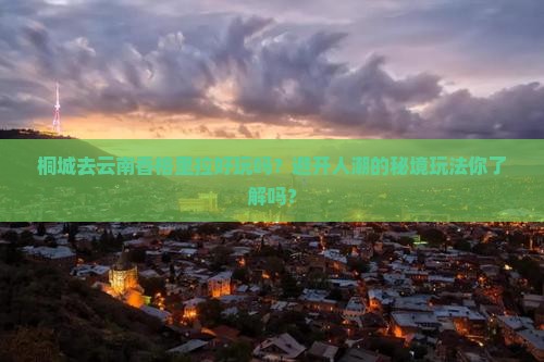 桐城去云南香格里拉旅行社
