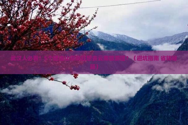 武汉去云南大型旅游团