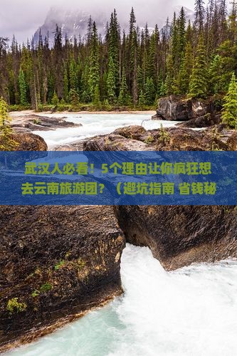 武汉去云南大型旅游团