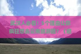 武汉去云南大型旅游团