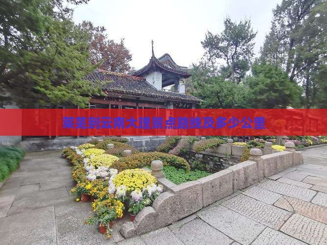 莱芜到云南大理景点