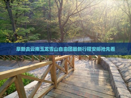 阜新去云南玉龙雪山自由团