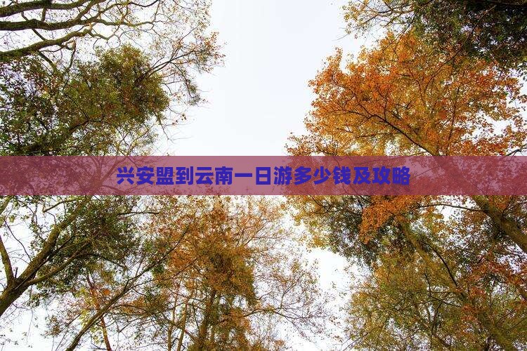 兴安盟到云南一日