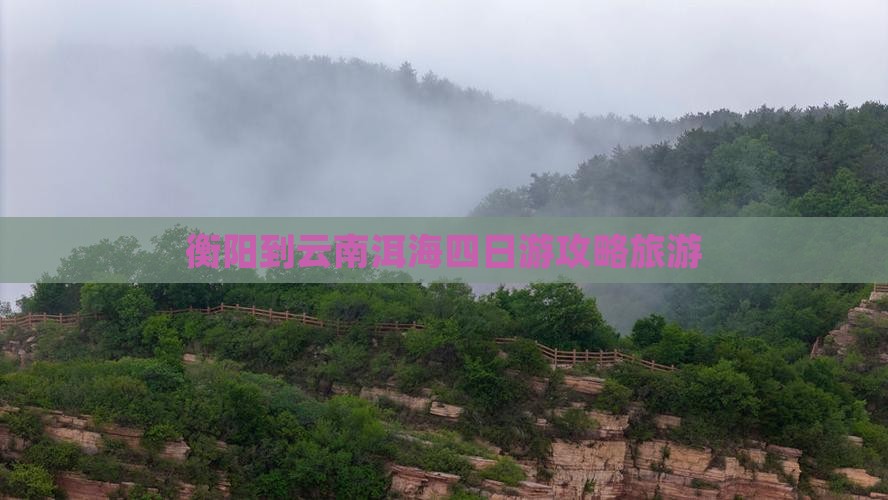 衡阳到云南洱海四日游