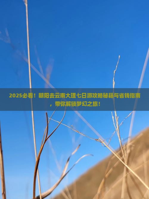朝阳去云南大理七日游