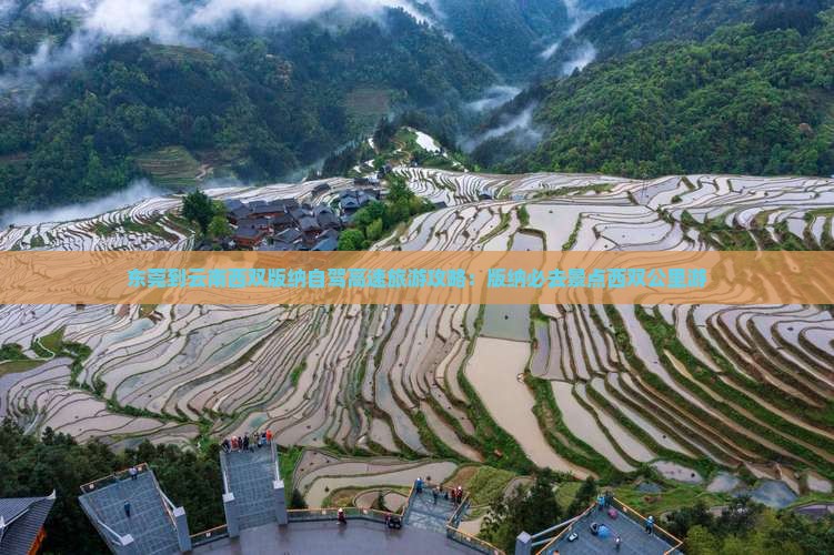东莞去云南西双版纳必去地