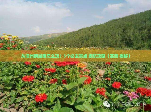 漳州到云南昆明景点