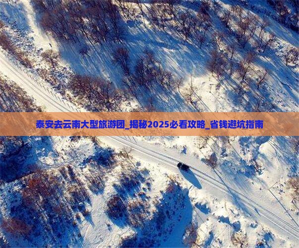 泰安去云南大型旅游团