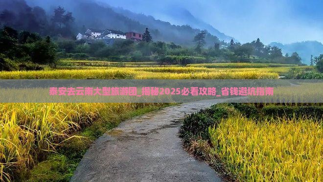 泰安去云南大型旅游团