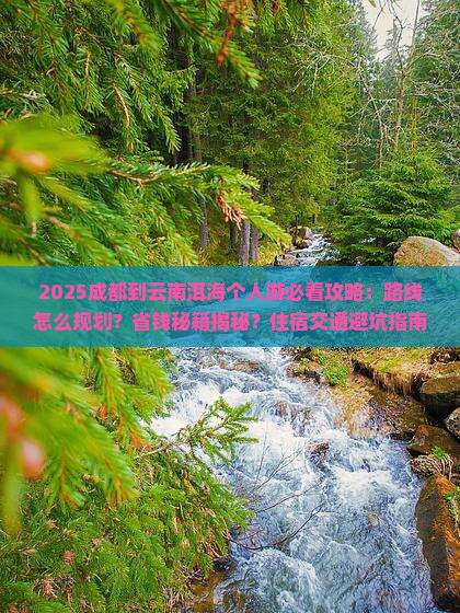 成都到云南洱海个人游