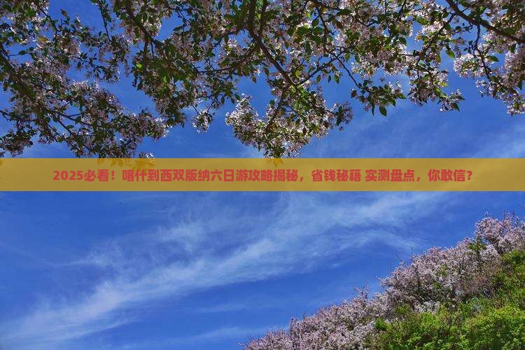 喀什到云南西双版纳六日游