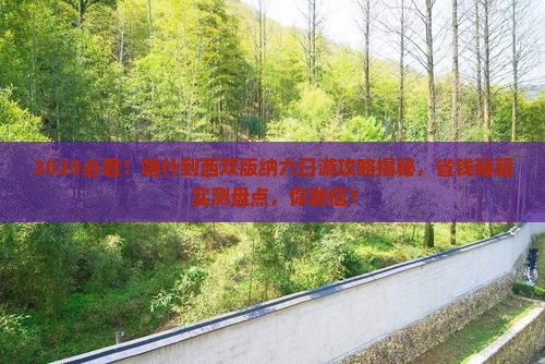喀什到云南西双版纳六日游