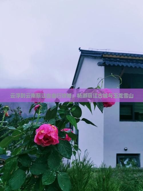 云浮到云南丽江自由行