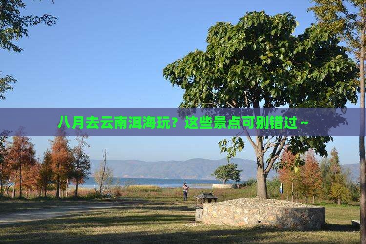 八月去云南洱海景点