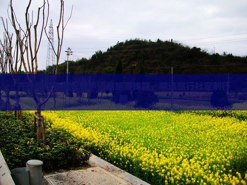 齐齐哈尔去云南泸沽湖旅行社