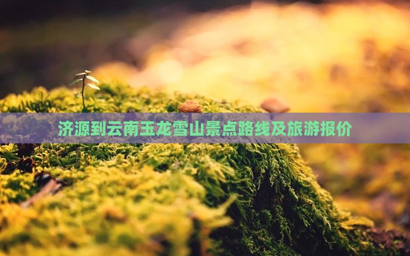 济源到云南玉龙雪山景点